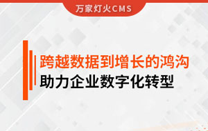 跨越數(shù)據(jù)到增長的鴻溝，助力企業(yè)數(shù)字化轉型